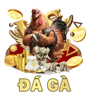 Đá gà QH88